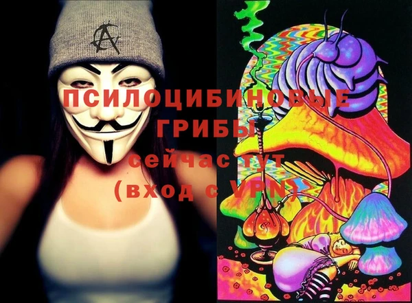 экстази Арсеньев