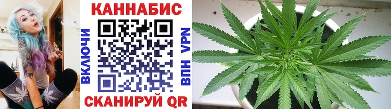 Бошки марихуана Bruce Banner  хочу   Инта 